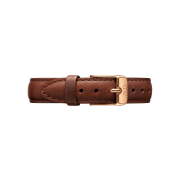 DW00100231